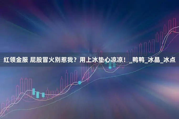 红领金服 屁股冒火别惹我？用上冰垫心凉凉！_鸭鸭_冰晶_冰点