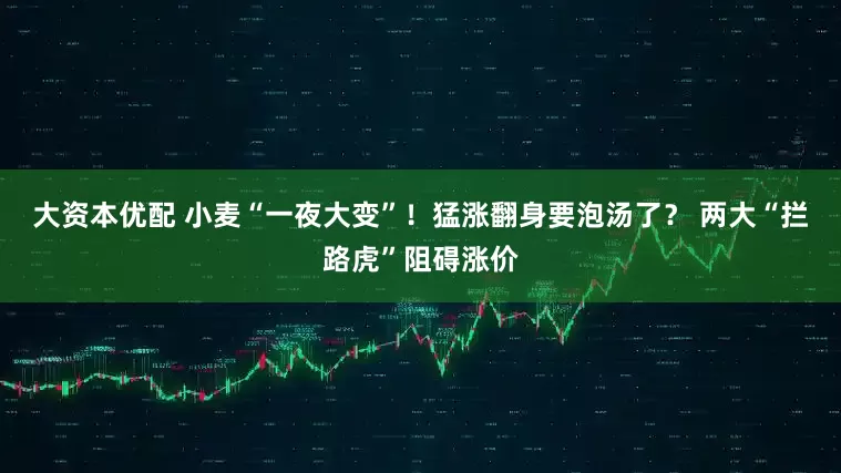 大资本优配 小麦“一夜大变”！猛涨翻身要泡汤了？ 两大“拦路虎”阻碍涨价