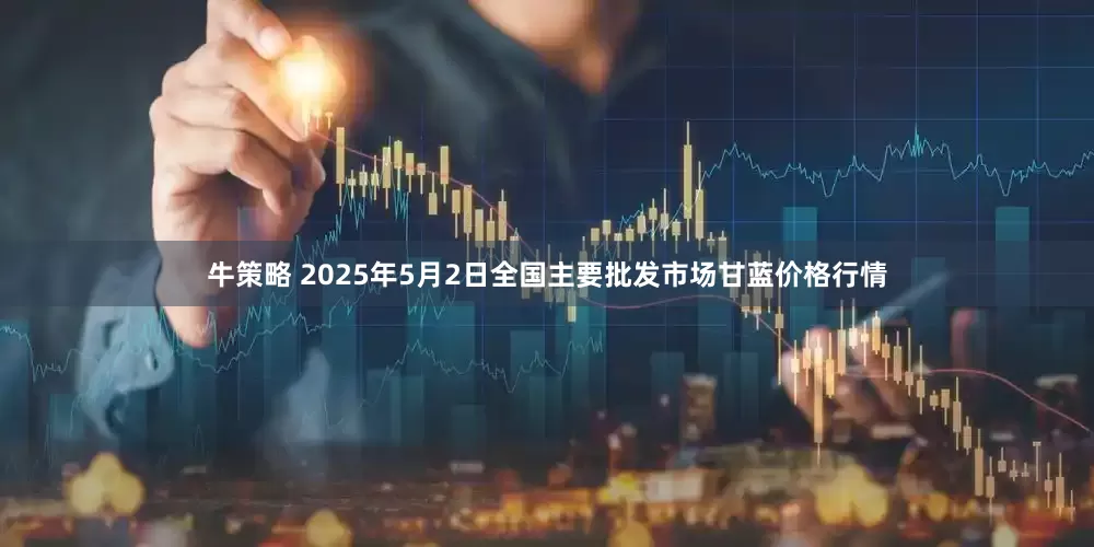 牛策略 2025年5月2日全国主要批发市场甘蓝价格行情