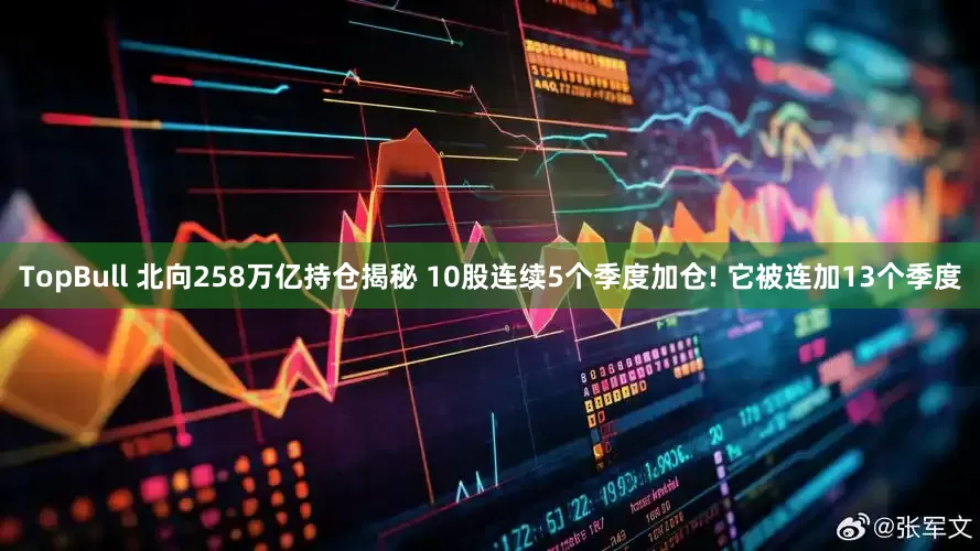 TopBull 北向258万亿持仓揭秘 10股连续5个季度加仓! 它被连加13个季度