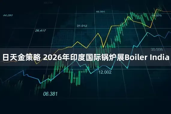 日天金策略 2026年印度国际锅炉展Boiler India